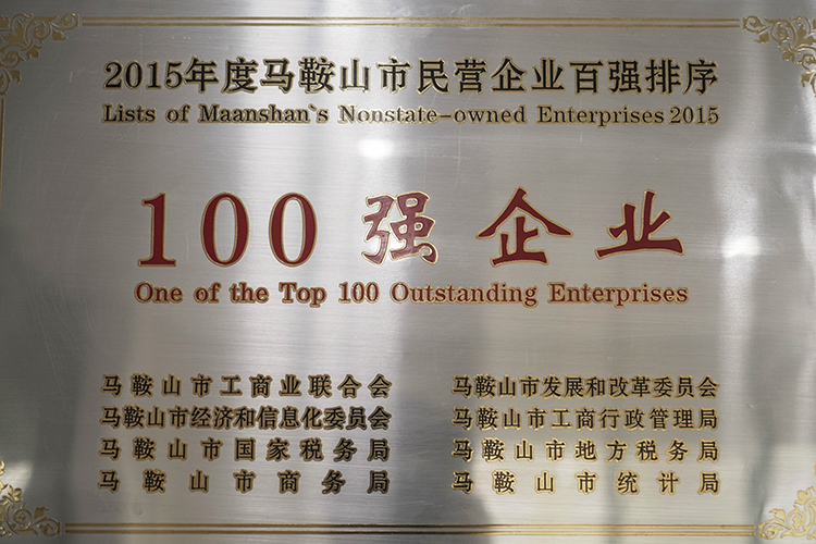 2015年度（dù）榮獲市民營企業百強企業