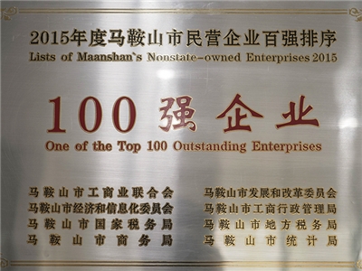 2015年度（dù）榮獲市民營企業百強企業