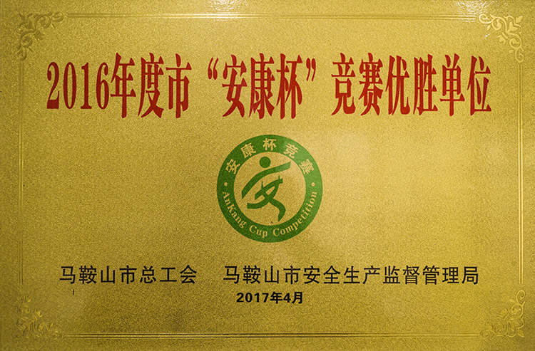 2016年度（dù）榮獲市安康杯競賽優勝單位