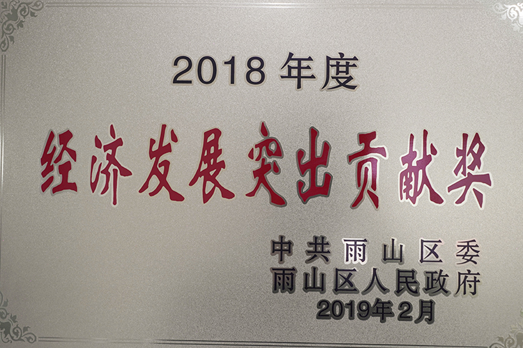 2018年度榮獲（huò）經濟發展突出貢獻獎